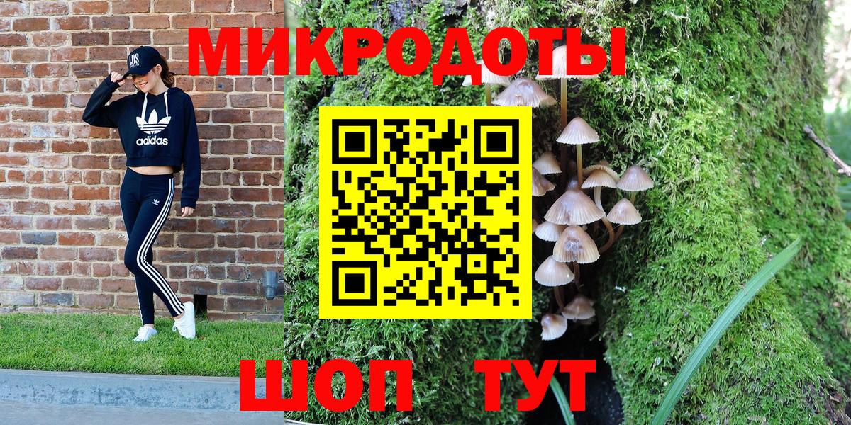 Псилоцибиновые грибы Magic Shrooms Котлас