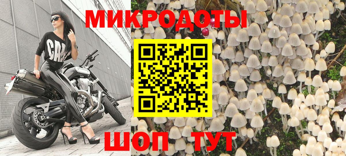 купить наркотик  Вход с VPN  Котлас  Псилоцибиновые грибы Cubensis 