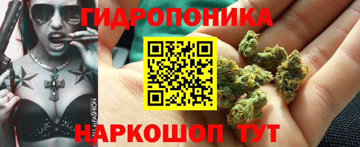 МАРИХУАНА MAZAR  Конопля Amnesia  Вход с VPN  Котлас  Каннабис сатива 